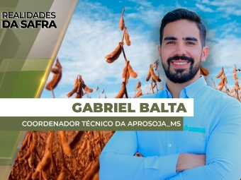 THUMBS - SITE - RLD - BALTA