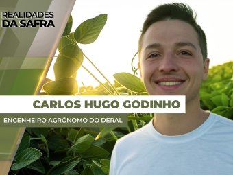 THUMBS - SITE - RLD - bruno