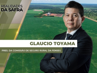THUMBS - SITE - RLD - claucio