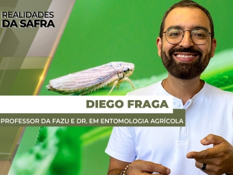 THUMBS - SITE - RLD - diego