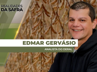 THUMBS - SITE - RLD - edmar