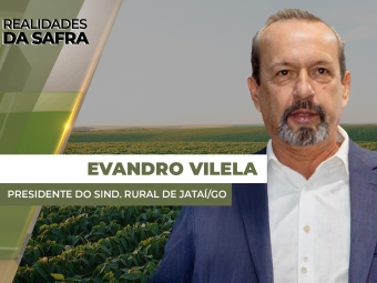 THUMBS - SITE - RLD - EVANDRO1
