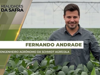 THUMBS - SITE - RLD - FERNANDO
