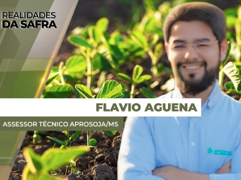 THUMBS - SITE - RLD - flavio