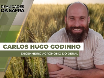 THUMBS - SITE - RLD - HUGO