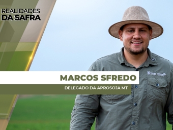 THUMBS - SITE - RLD - MARCOS S