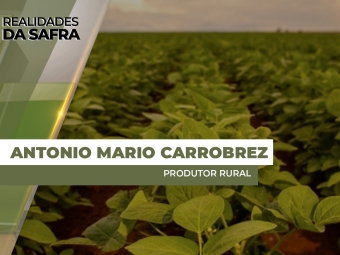 THUMBS - SITE - RLD - mario