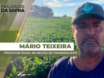 THUMBS - SITE - RLD - mario