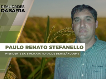 THUMBS - SITE - RLD - PAULO