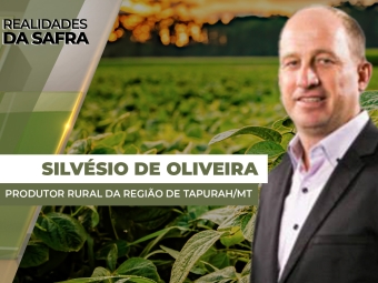 THUMBS - SITE - RLD - silvesio