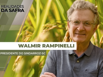 THUMBS - SITE - RLD - walmir2