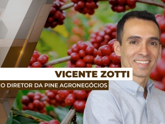 vicente-destaque