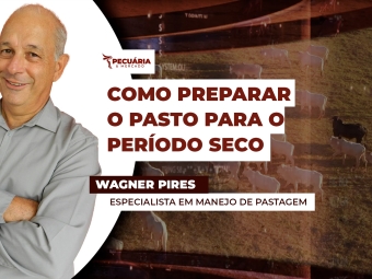 wagner