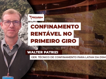 walter