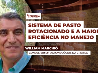 willina