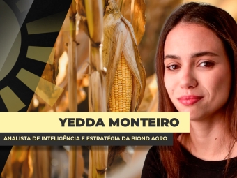 YEDDA