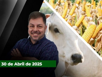 zfecha