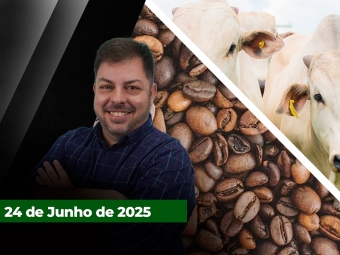 zfecha