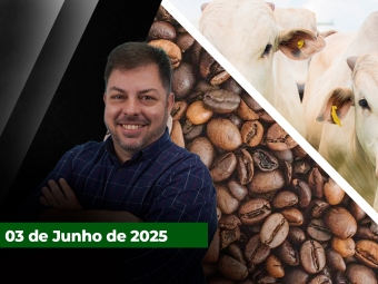 zfecha
