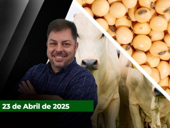 zfecha