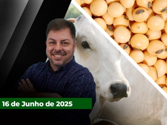 zfecha