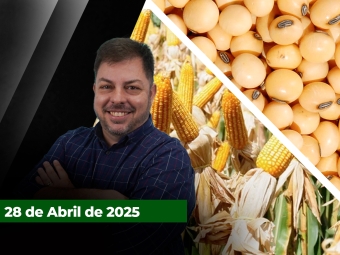 zfecha