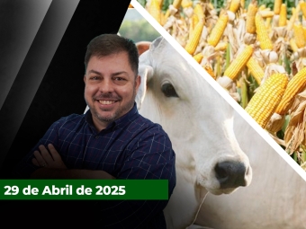 zfecha