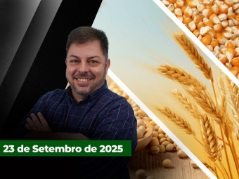zfecha
