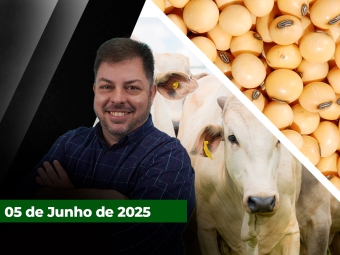 zfecha