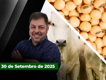 zfecha