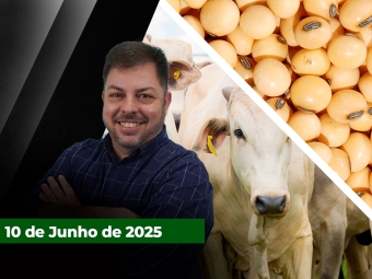 zfecha