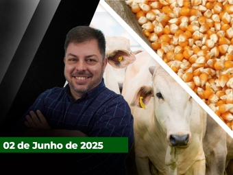 zfecha