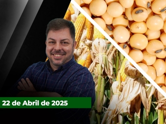 zfecha