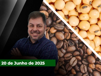 zfecha