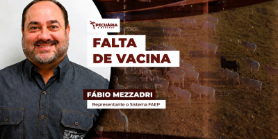 A falta de vacina para clostridioses preocupa pecuaristas no Brasil inteiro