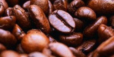 Safra de café robusta do Espírito Santo deve cair, diz Cooabriel