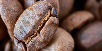 Café fecha em alta com atenção à qualidade da safra e ao clima nos países produtores