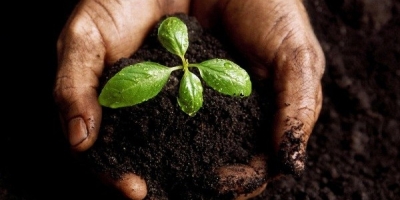 Agro paulista fecha 2025 com superávit de US$23 bilhões