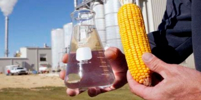 Etanol de milho avança no país e muda a dinâmica de mercado de biocombustíveis