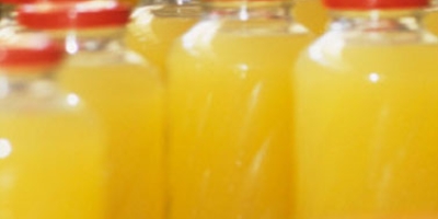 Citros/Cepea: Volume de suco exportado da safra 2025/26 se iguala a parcial da 2024/25