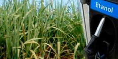 Bioenergia ganha força com E32 e impulsiona expectativas para a Fenasucro & Agrocana 2026