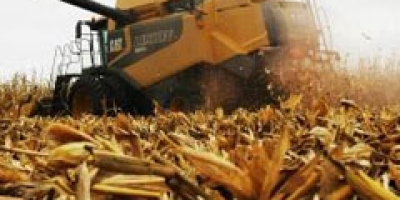 AgRural: Tempo mais firme em MT e GO leva colheita da safrinha de milho a 30% no Centro-Sul