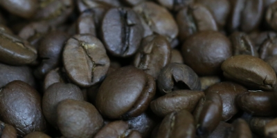 Preços do café recuam no Vietnã em mercado calmo