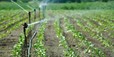 Como a escolha certa da filtragem na irrigação maximiza a produtividade da lavoura