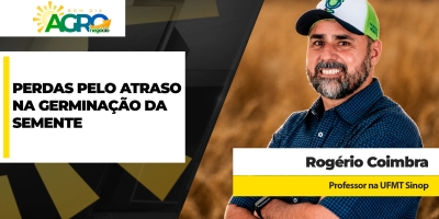 Produtor deixa de colher de 10 a 12 scs/ha de soja a cada dia de atraso na emergência de plântula