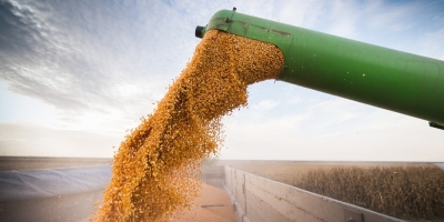AgRural: Com tempo frio e úmido, colheita da safrinha de milho atinge 22% no Centro-Sul
