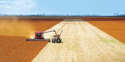 Puxada por MT, colheita de soja chega a 0,6% da área no Brasil