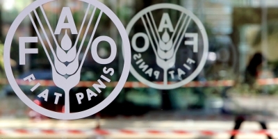 Preços mundiais dos alimentos atingem maior nível em 3 anos em julho, diz FAO