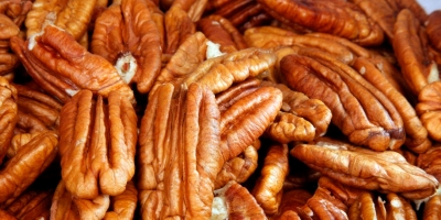 IBPecan leva produtos e agenda sobre noz-pecã à Expointer 2026