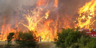 Portugal pede apoio de UE, Espanha e Marrocos diante do aumento do risco de incêndios florestais